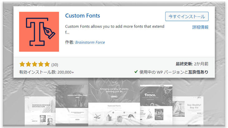 Astraプラグイン：Custom Fonts